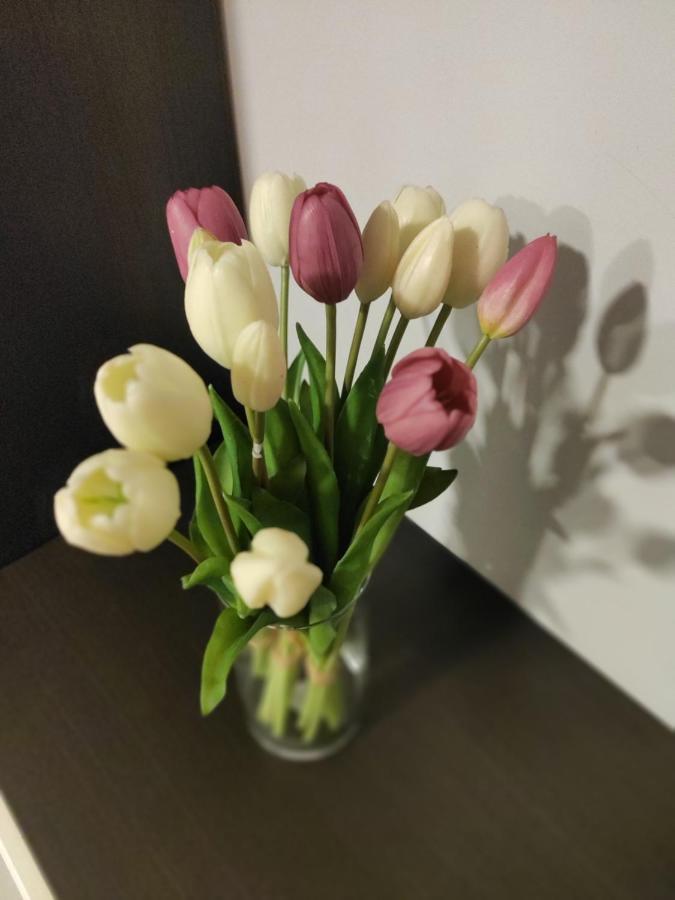 Zia Rose Apartment Naples