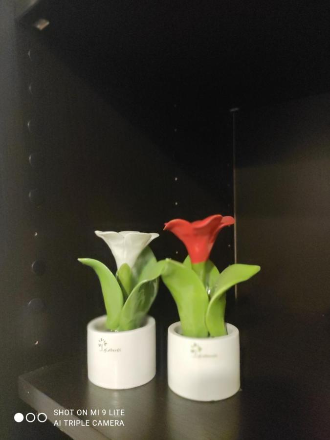 Appartement Zia Rose Napels
